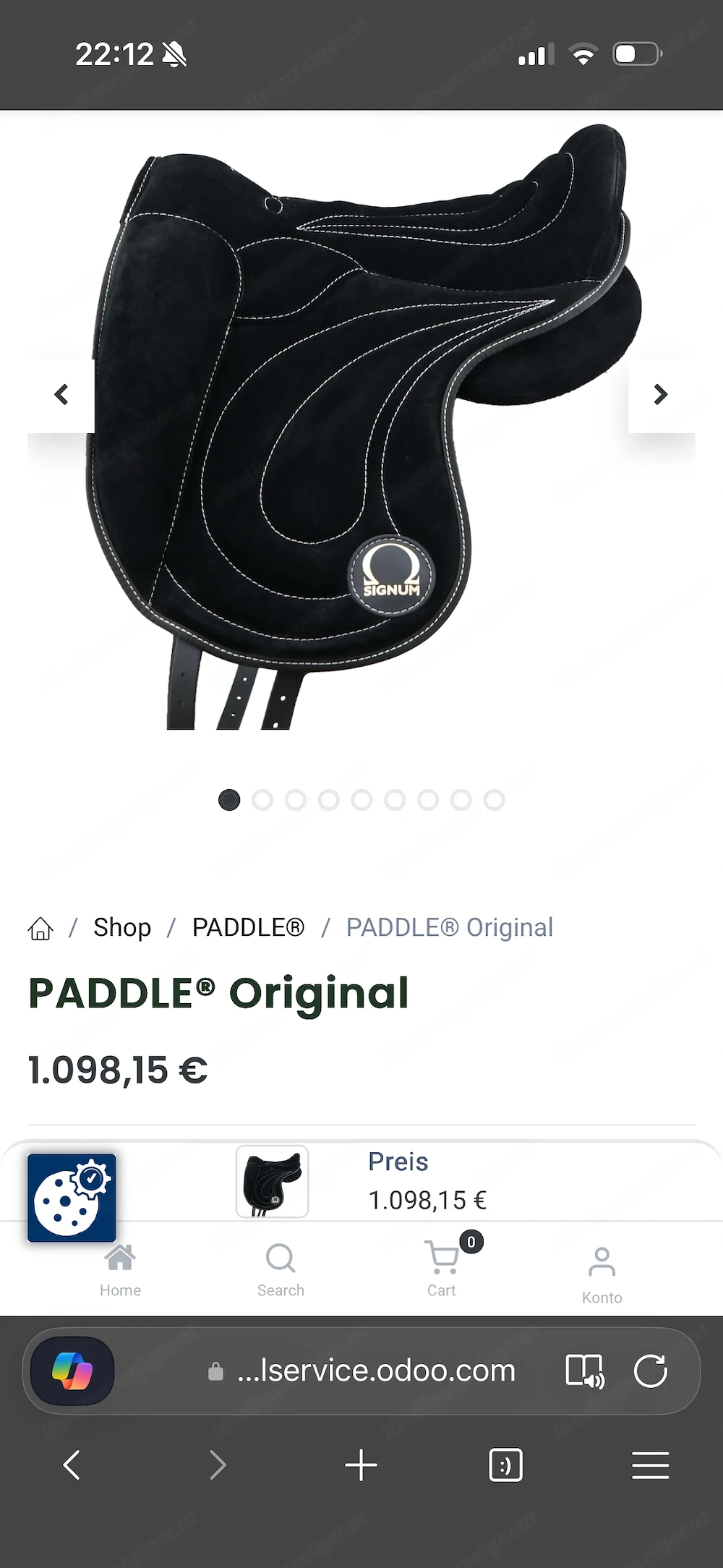 Signum Reitpaddle in Größe L schwarz