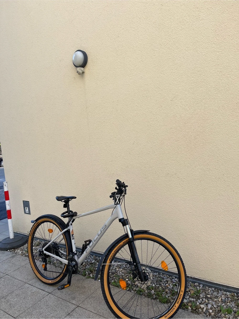 Focus Mountain bike 29zoll