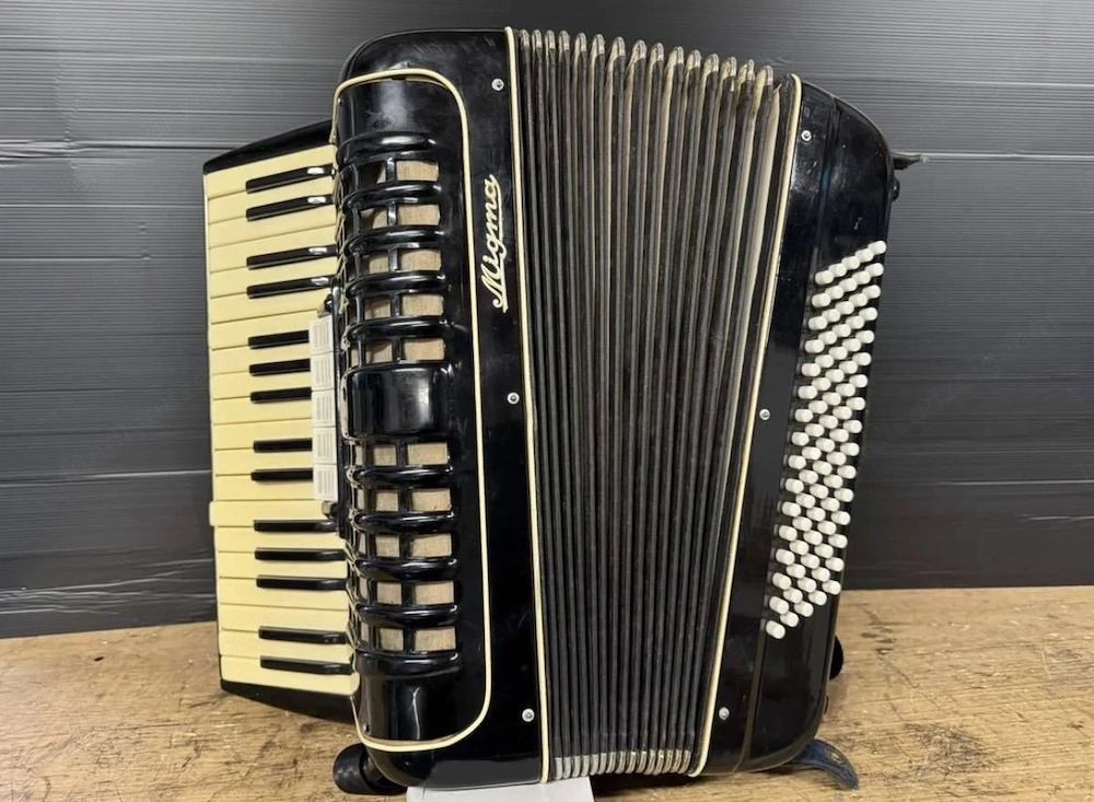 Show-Ziehharmonika mit Akku