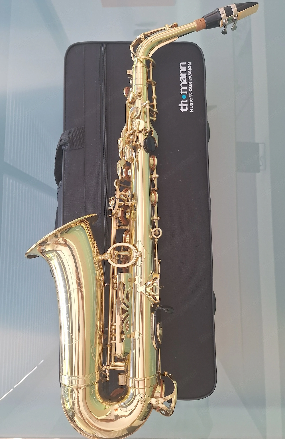 Saxophon TAS 180 aus 2026 - neuwertiges Altsaxophon samt Zubehör und Koffer