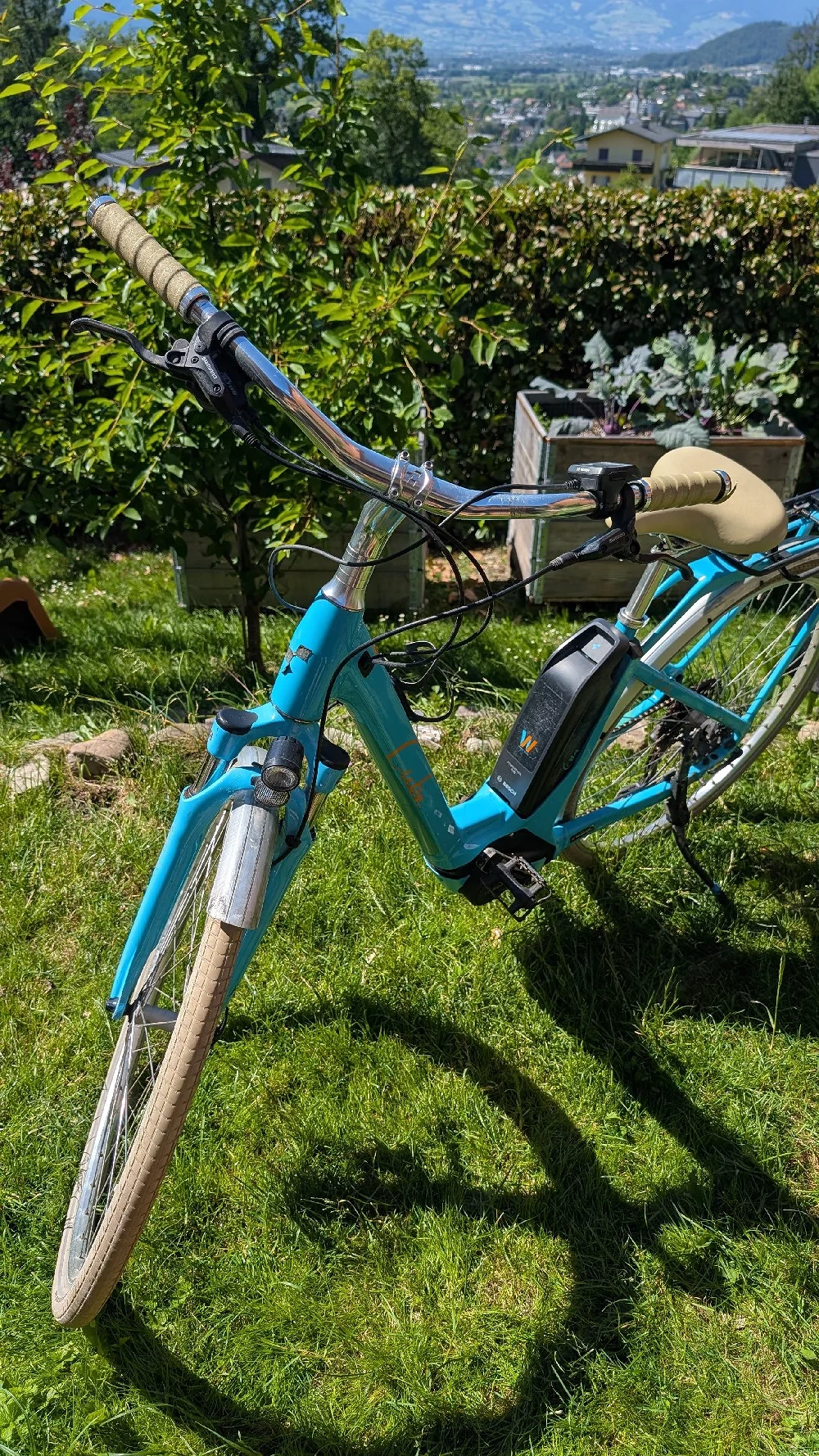 E-Bike Cube Elly 