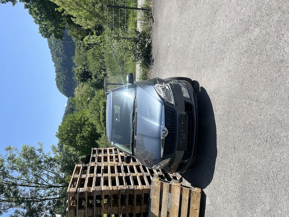 Fabia Combi