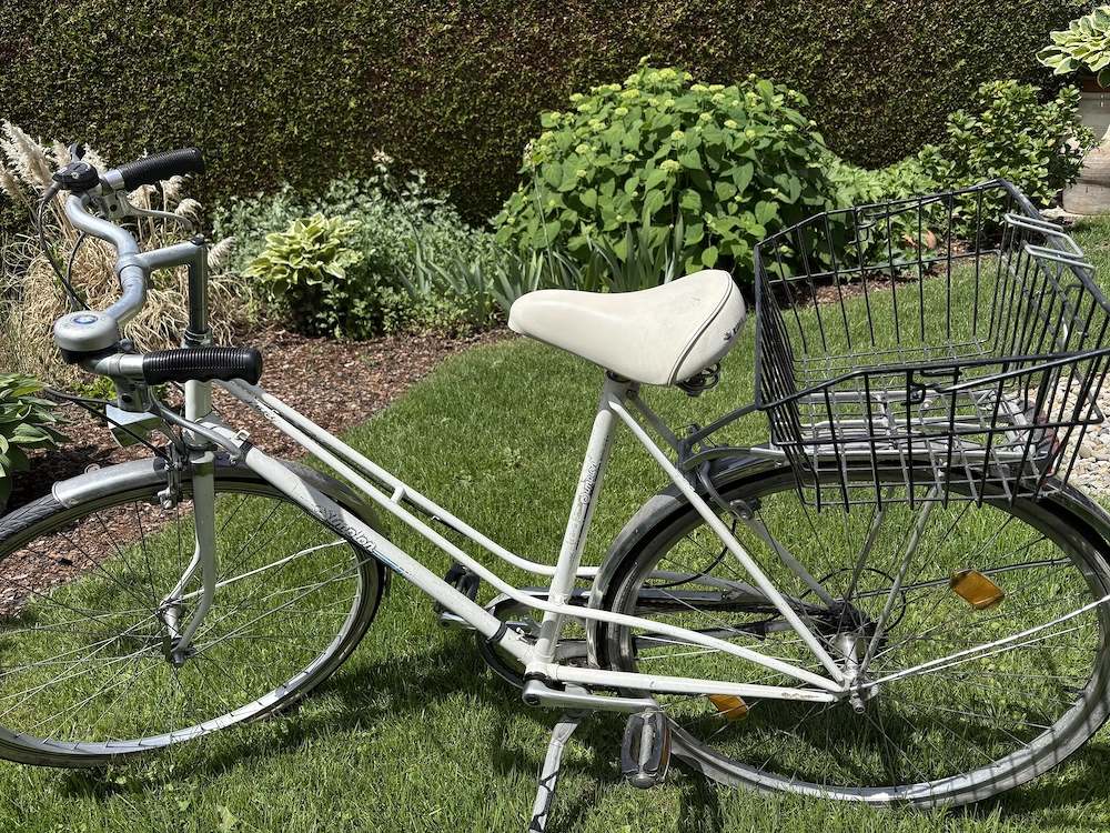 Damen City Fahrrad von SIMPLON
