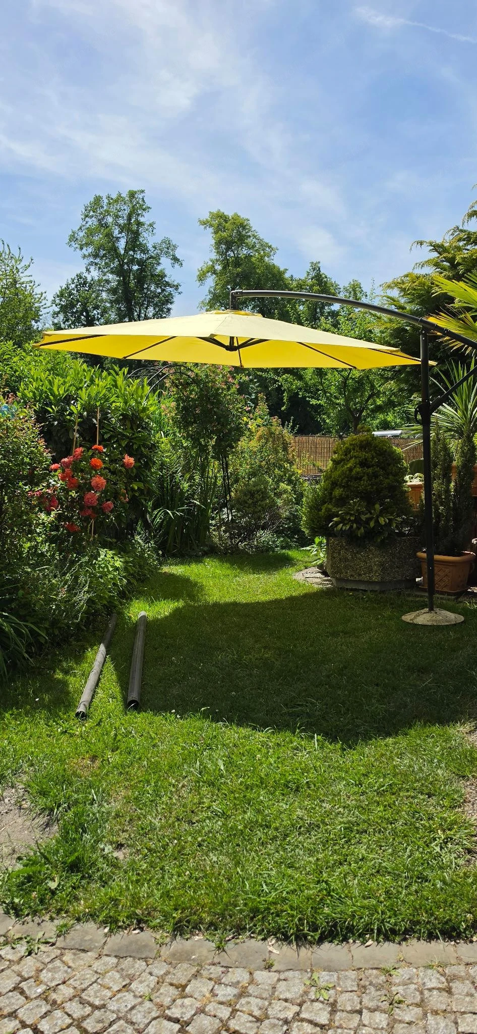 Sonnenschirm -Ampel