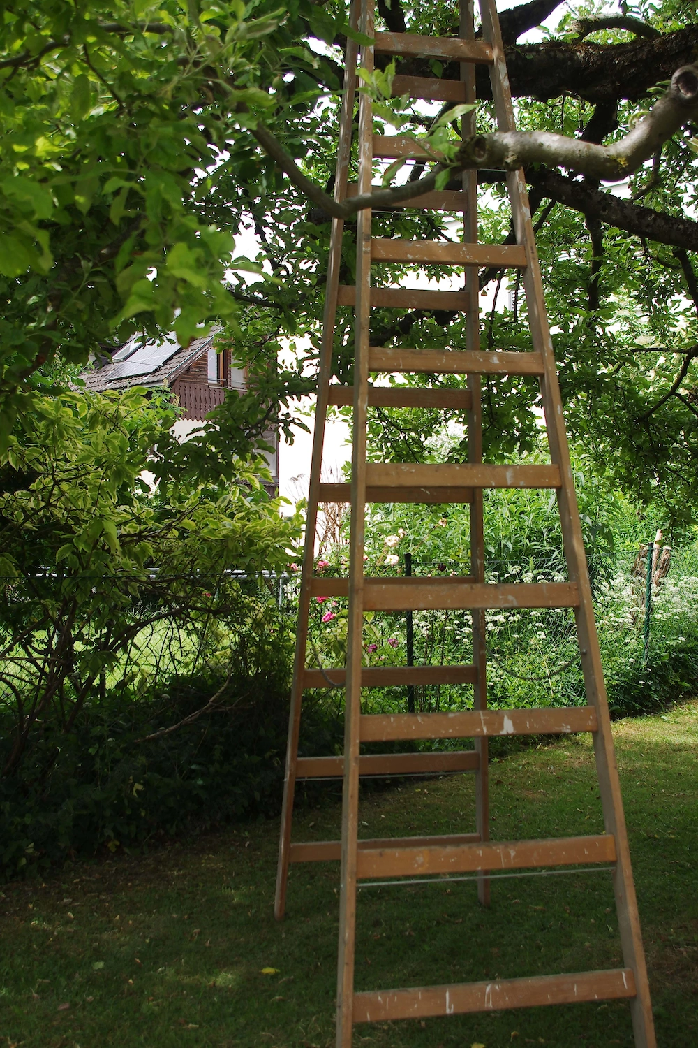 Holzleiter ca. 3 Meter 