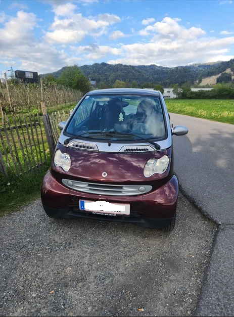 Smart Fortwo in Top-Zustand   Sparsam und zuverlässig