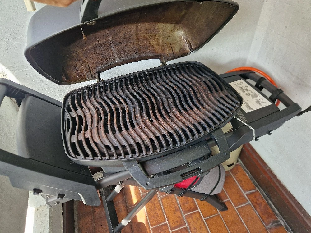 Gasgrill Marke Napoleon 