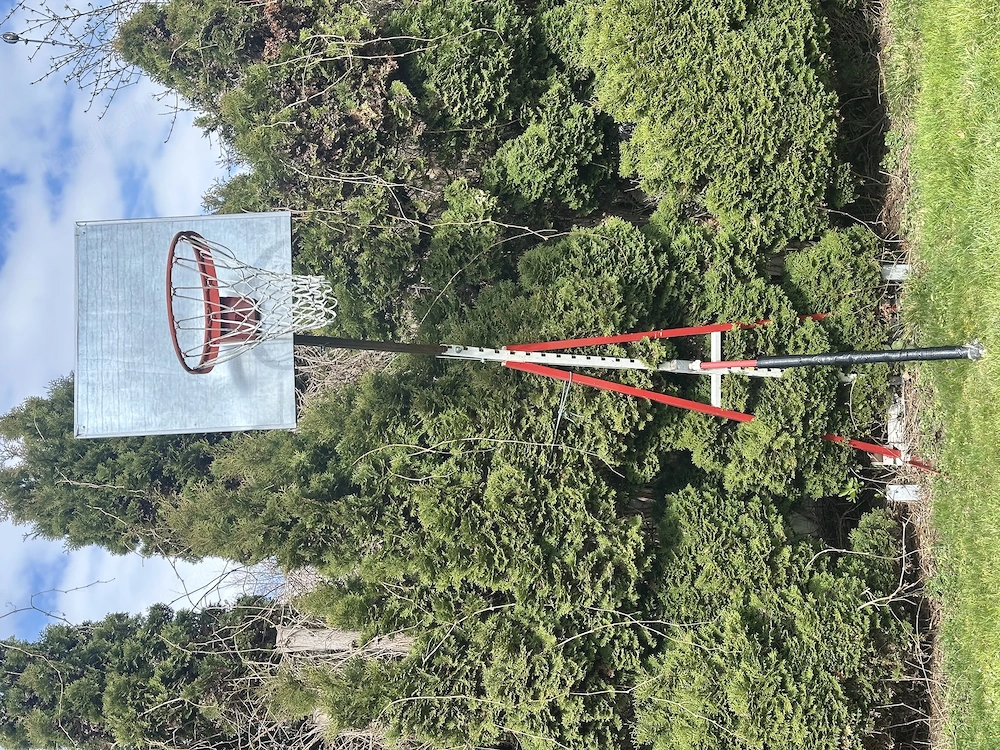 Basketballkorb mit massivem Gerüst (professionell). Korb in 3,05m Höhe.