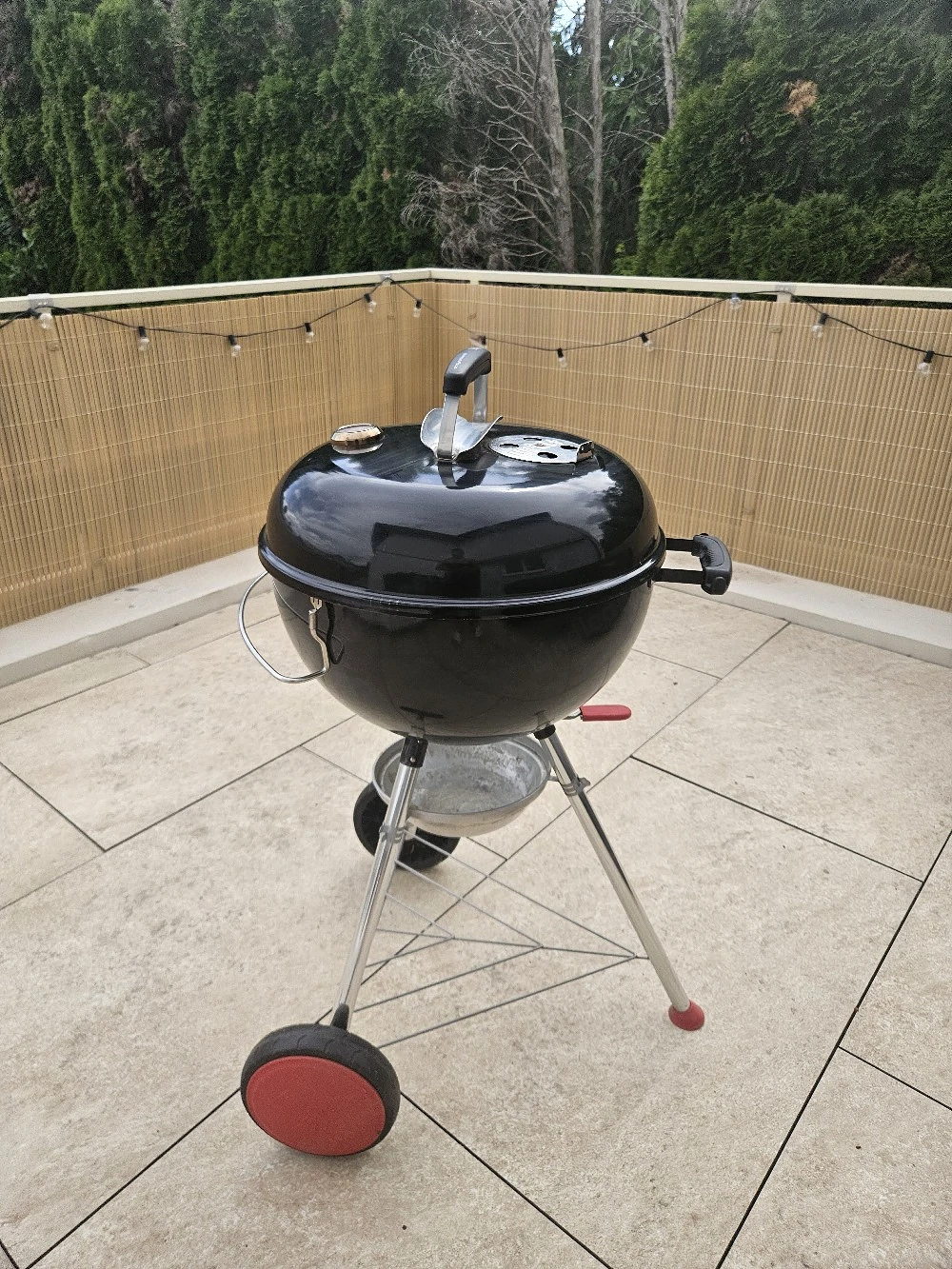 Weber Kugelgrill