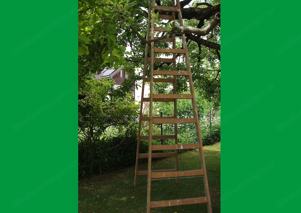Holzstehleiter 10 Sprossen