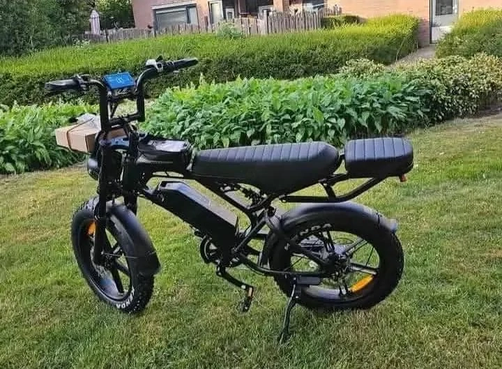 fatbike V20 pro 
