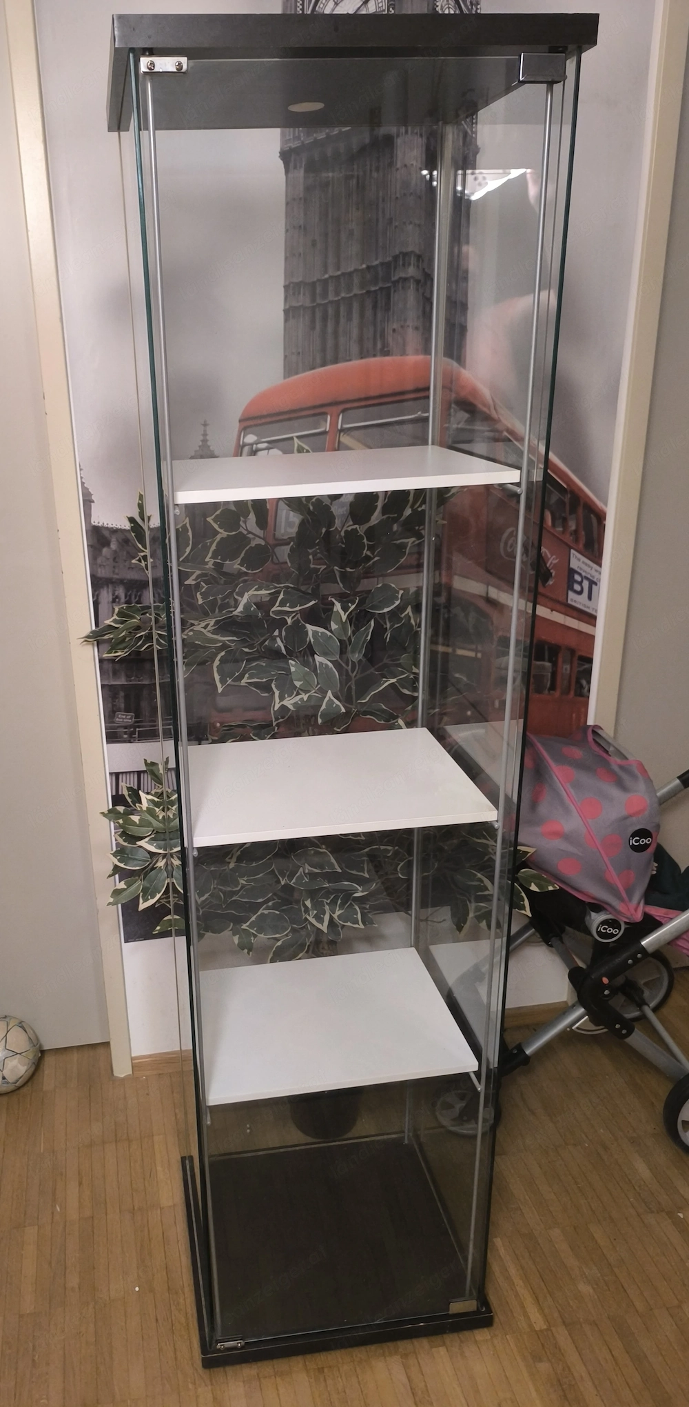 Glas Vitríne mit Holz regále 