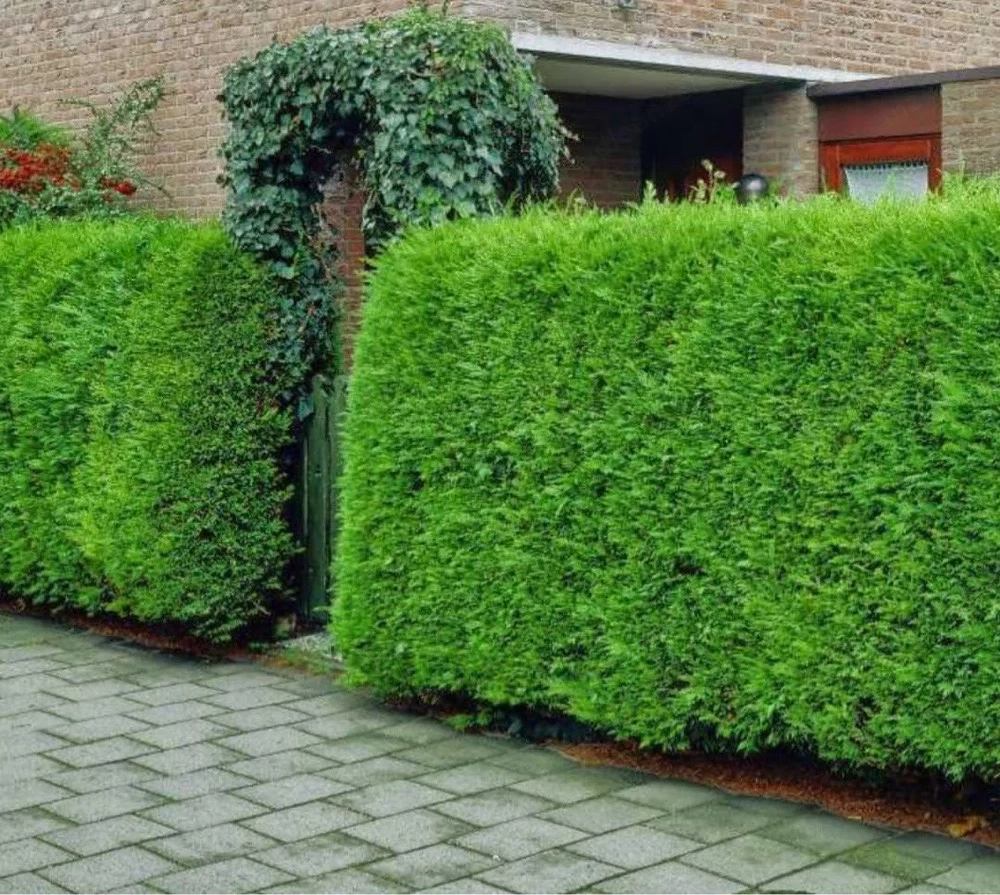    Gartenarbeit mit Herz und Verstand