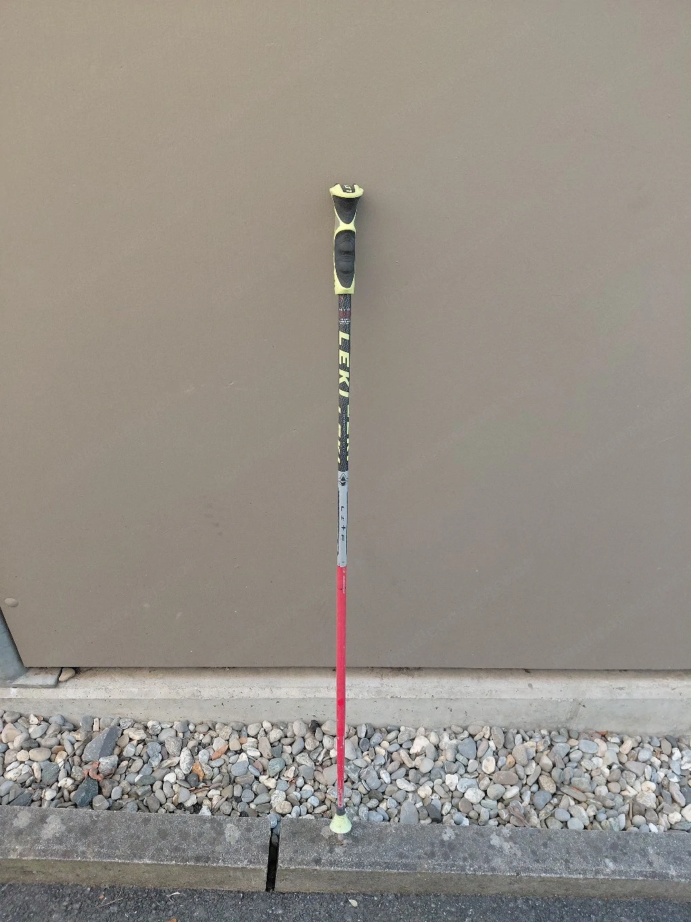 Skistock Set