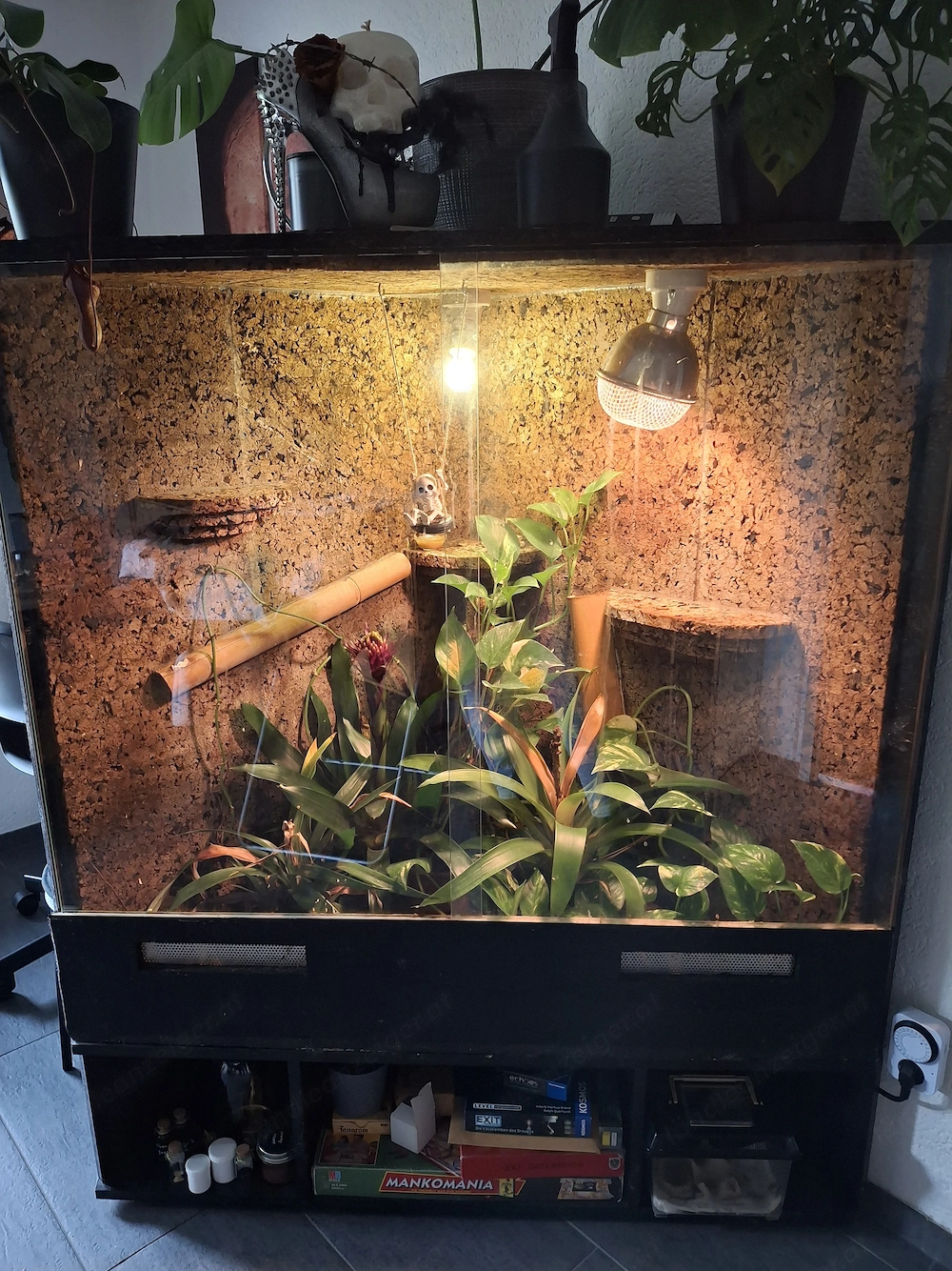 Gr Eck Terrarium  (ohne Tiere)