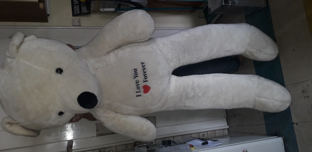 Zu verschenken bär ca 160 cm 