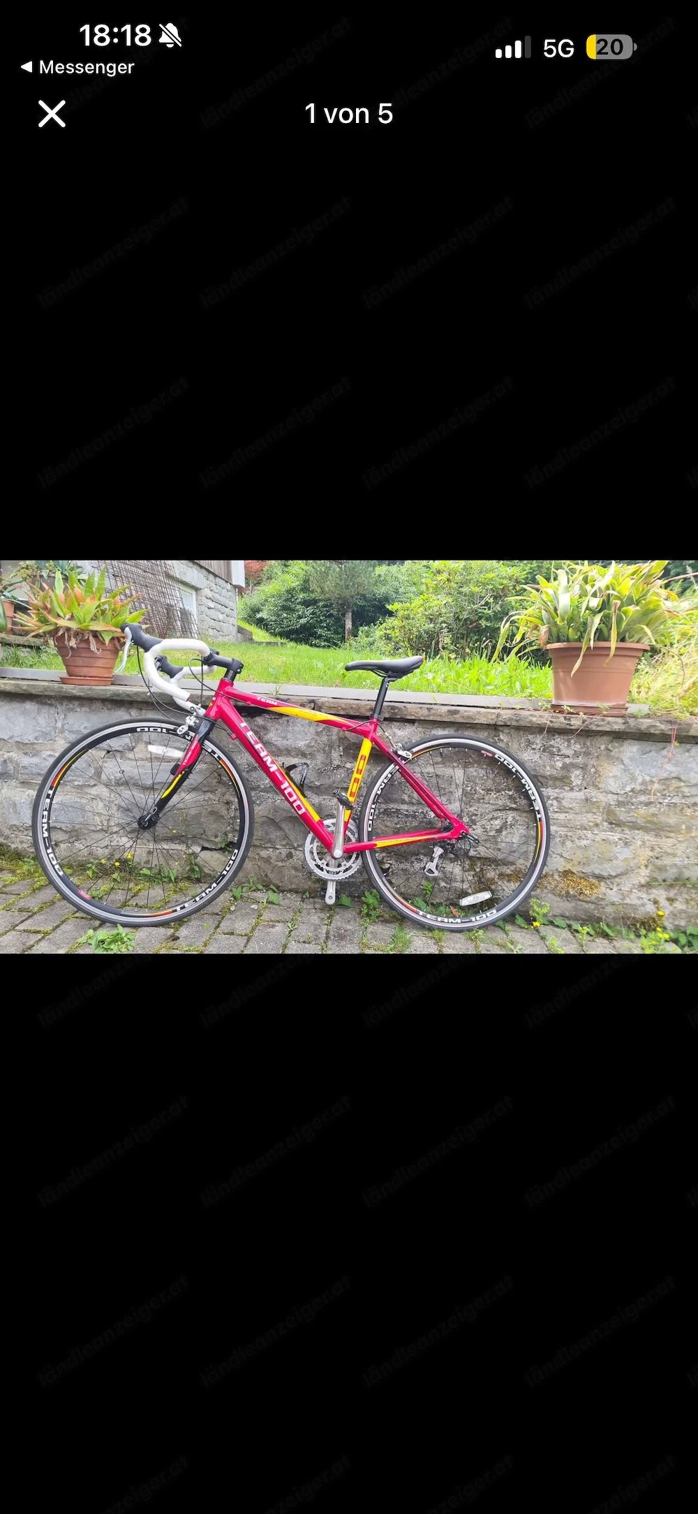 Rennrad Team 100 