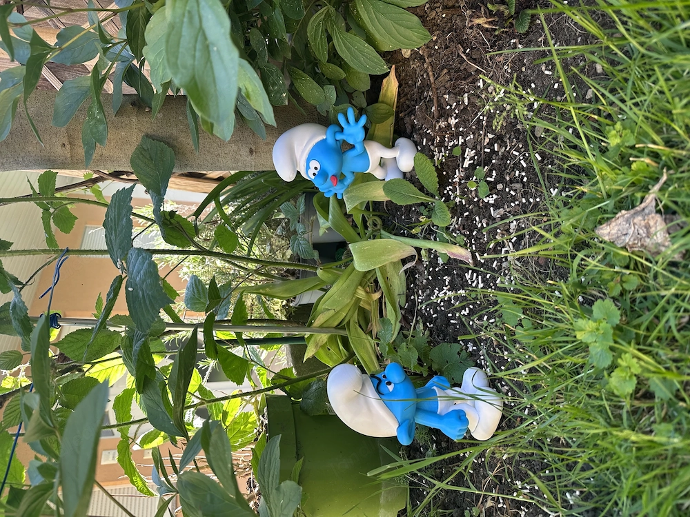 Garten Schlümpfe!