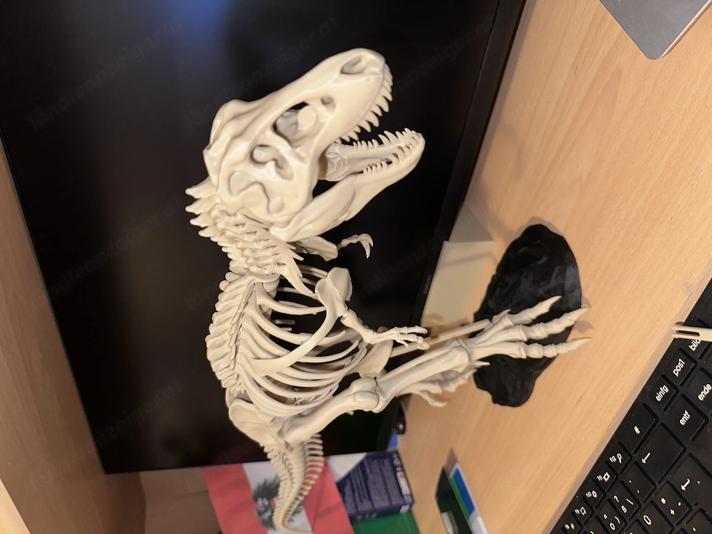 T-Rex Skelett Modell