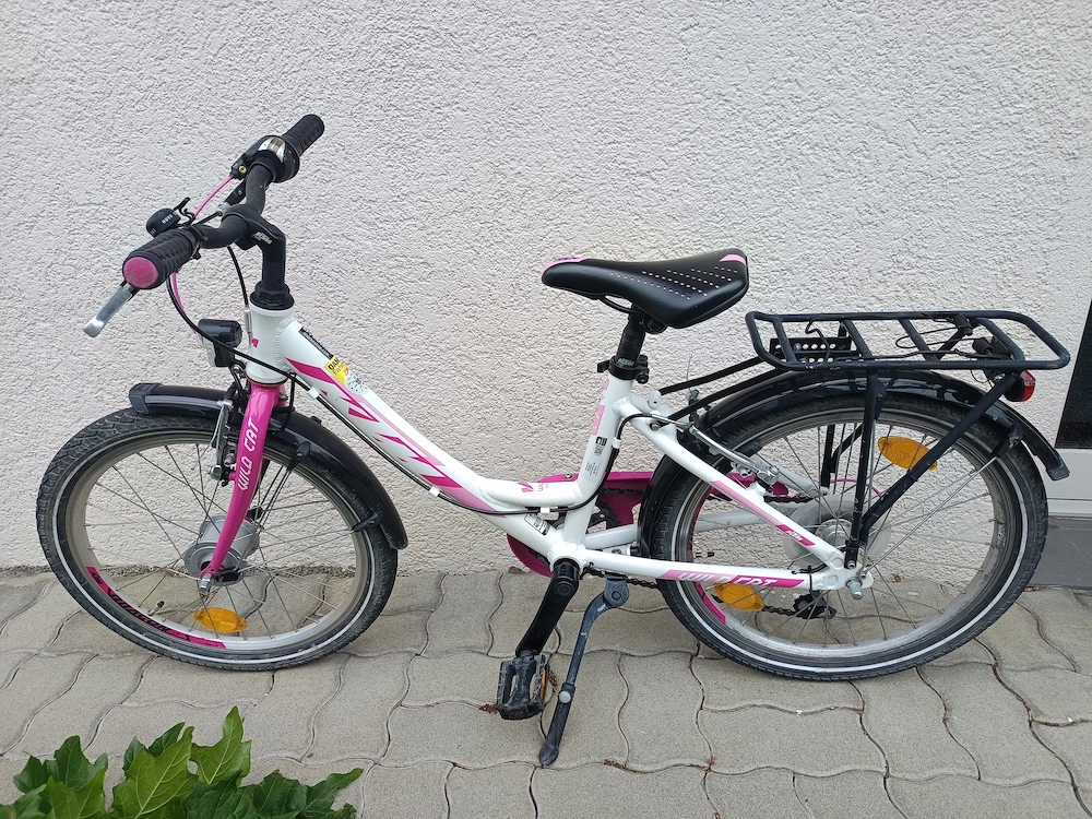KTM Wild Cat 20 Zoll 