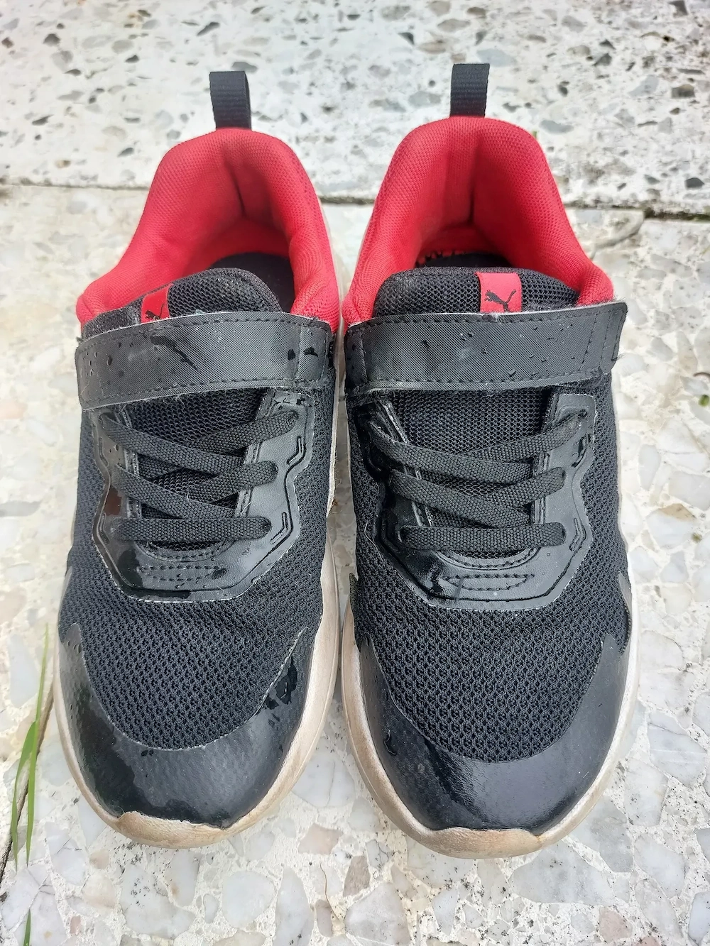Puma Turnschuhe Jungs Gr. 35