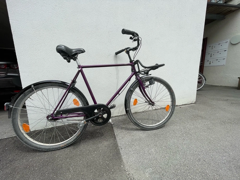 Fahrrad Nabenschaltung 26 Zoll