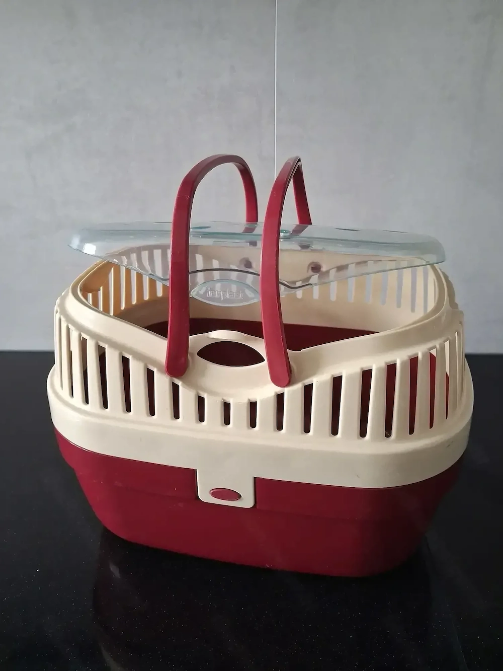 Transportbox