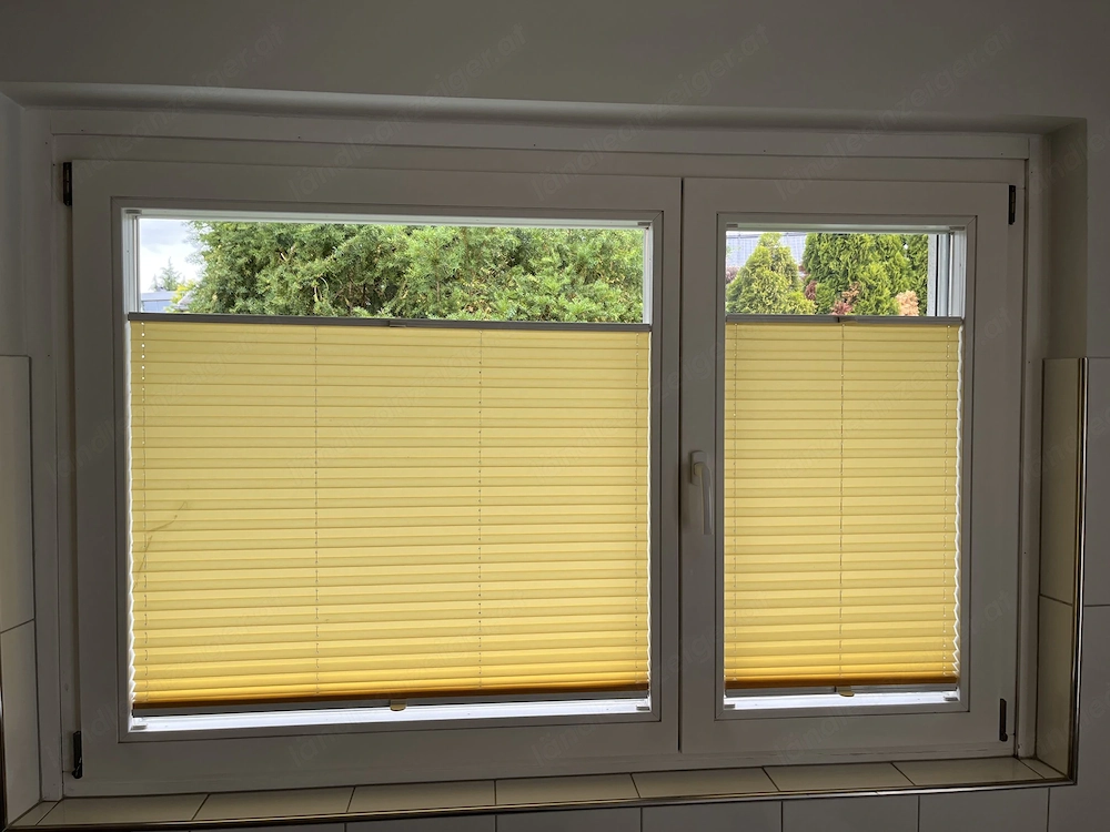 Plissee in Gelb für 2 Fenster zu verschenken