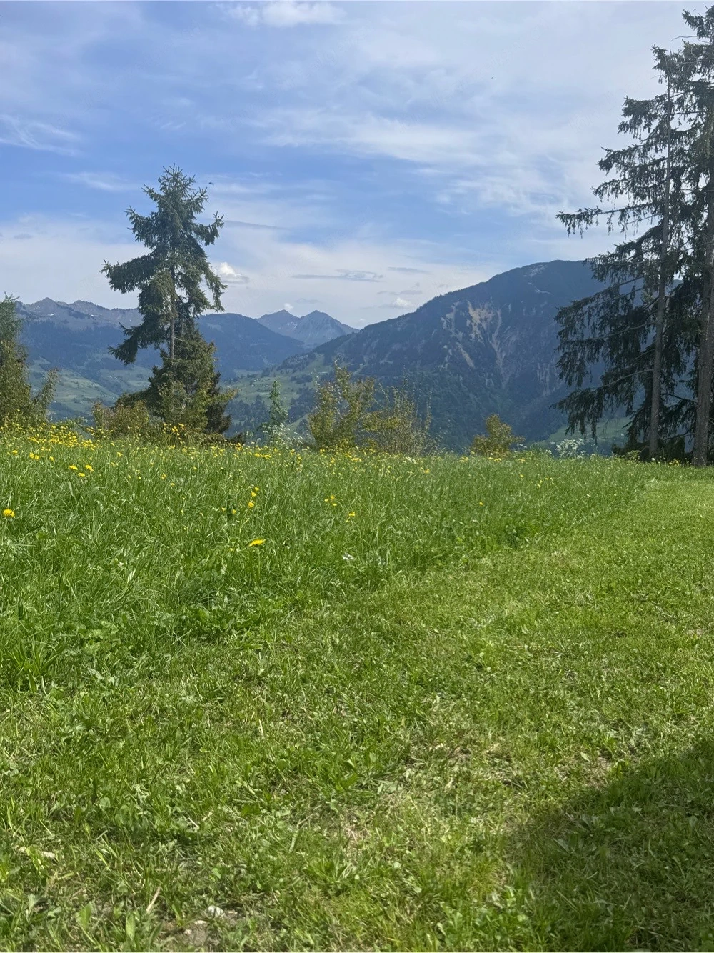 SUCHE zuverlässige und genaue Reinigungskraft