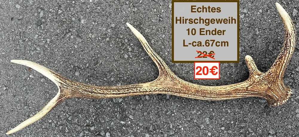 Gehörn Reh Kunststoff, Hirsch Deko-Pilze