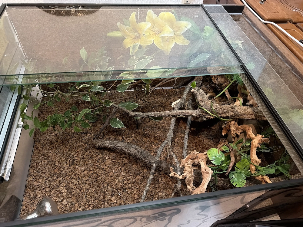 Terrarium 80x50x100