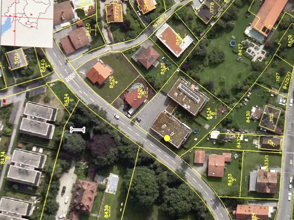 Traumhafte Garten 3 Zimmer Wohnung in Dornbirn wohnen wie im eigenen Haus nur entspannter