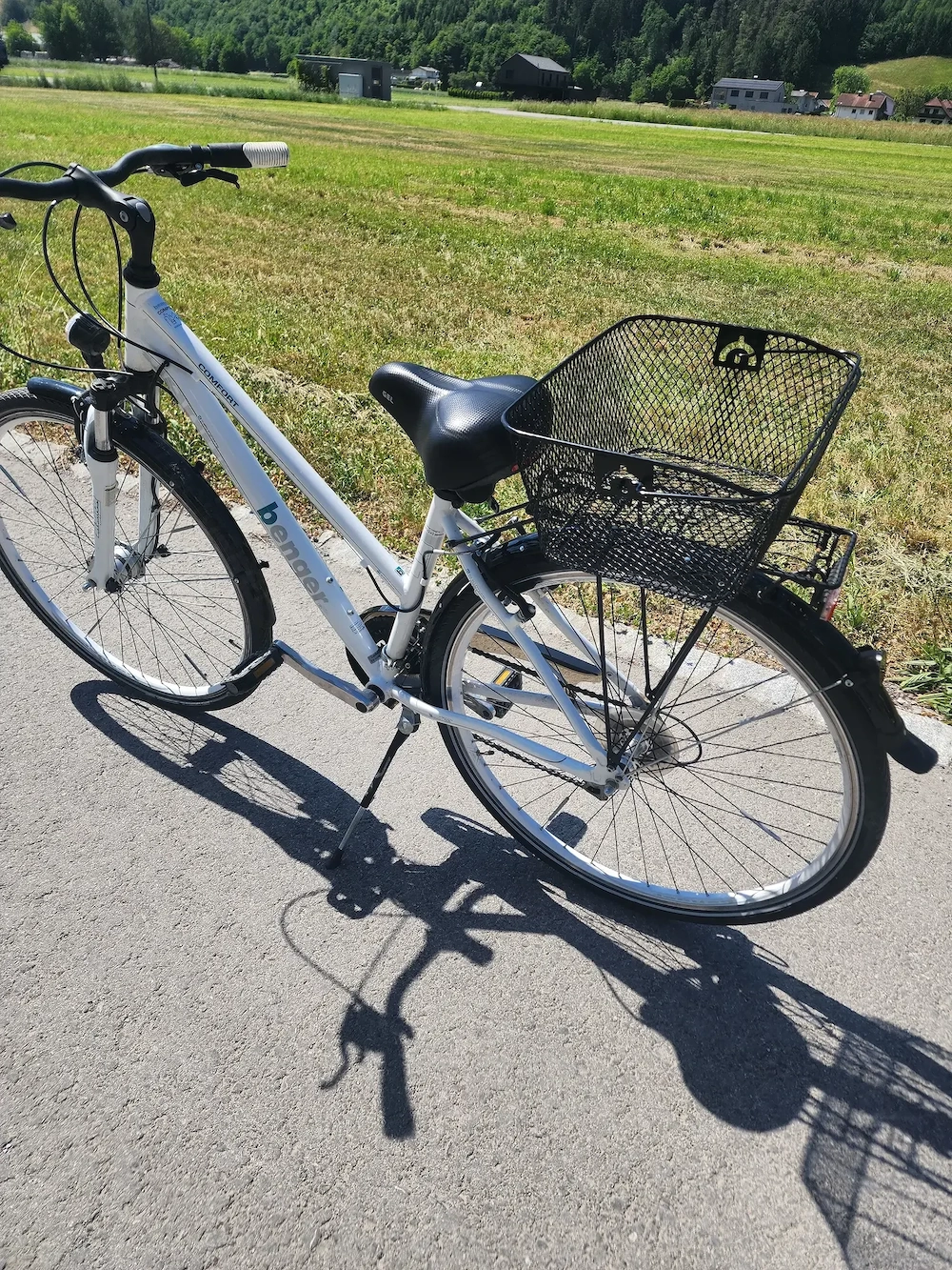 Damenfahrrad 28 Zoll 