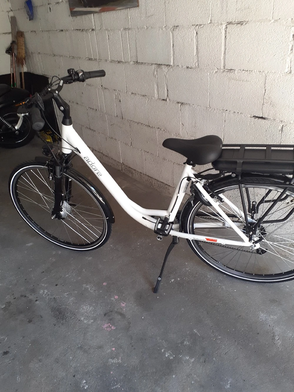 Damen-E-Bike