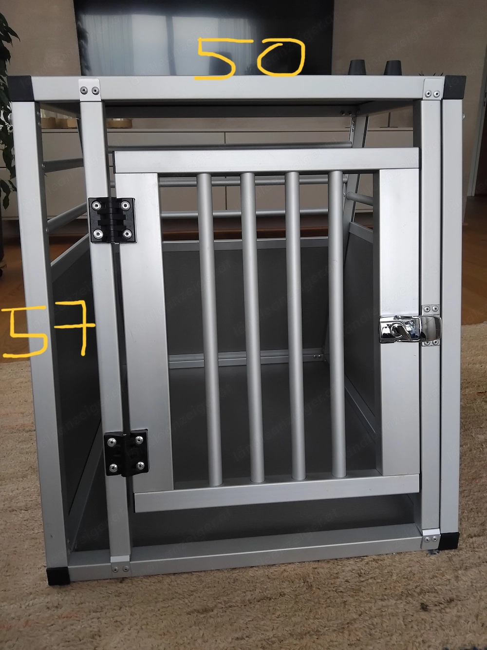 Hundebox für Auto
