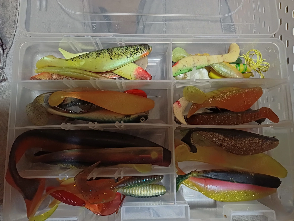 Rapala und Gummifsche 