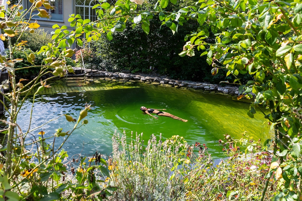 Day-Spa: Naturbadeteich-Paradiesgarten-Sonnenliegen-Sonnenschirme-Hallenbad und Außensauna 