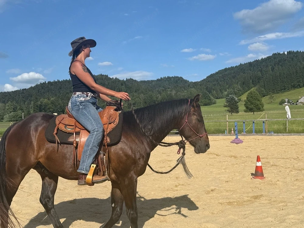 pferde ausbilden,pony reiten, Reituntericht 