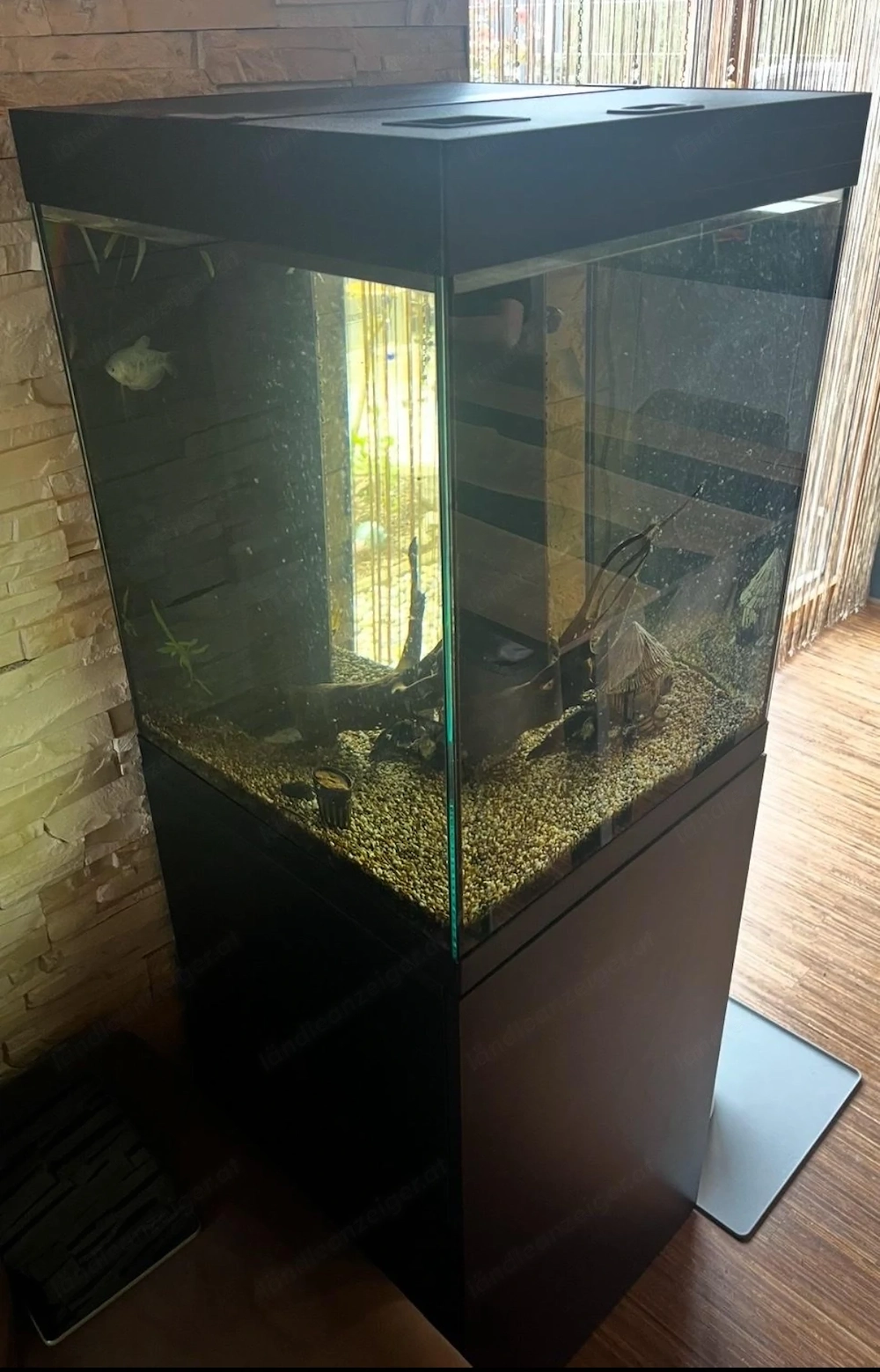 Aquarium mit Unterschrank 