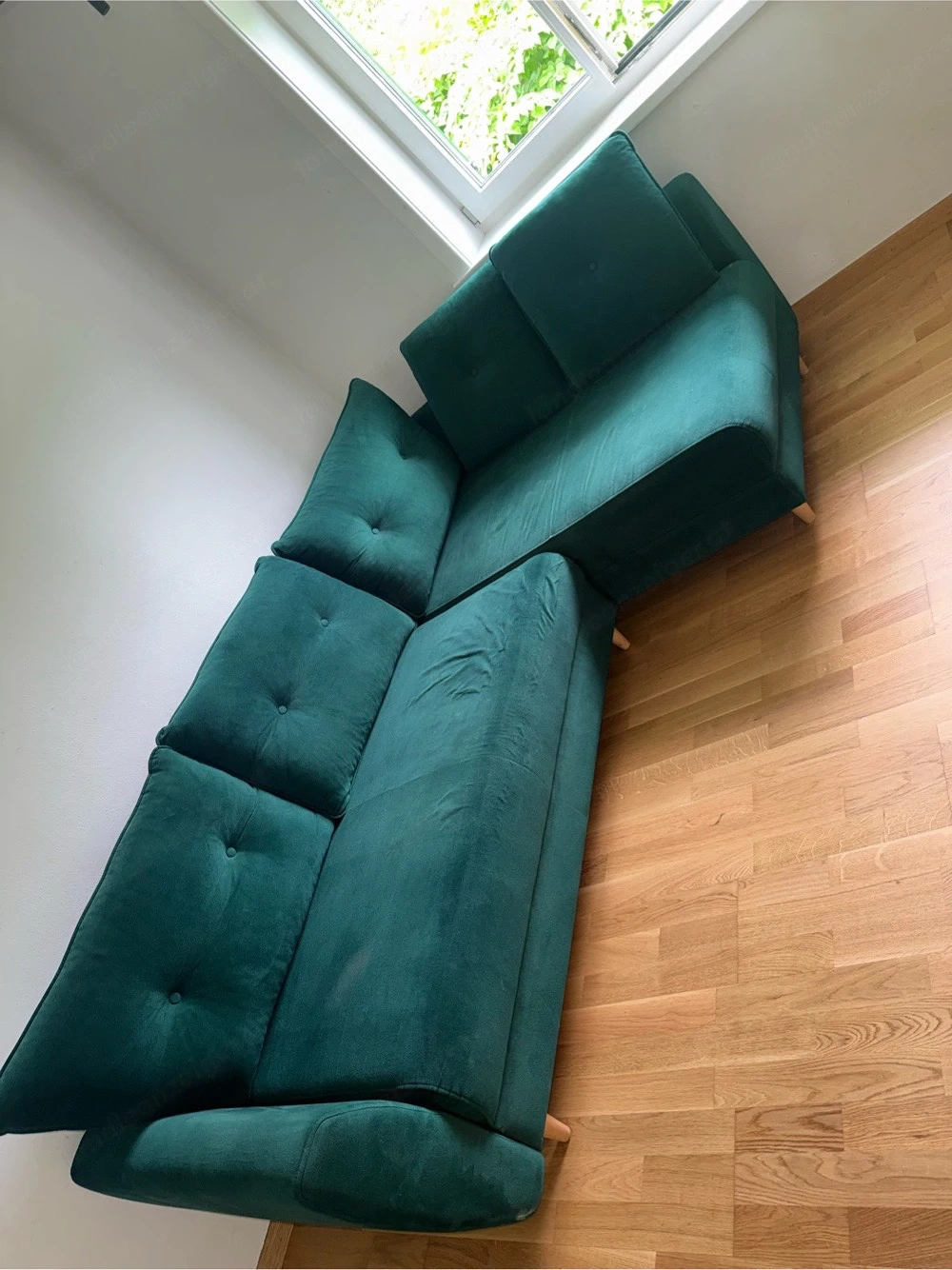couch, in in grün
