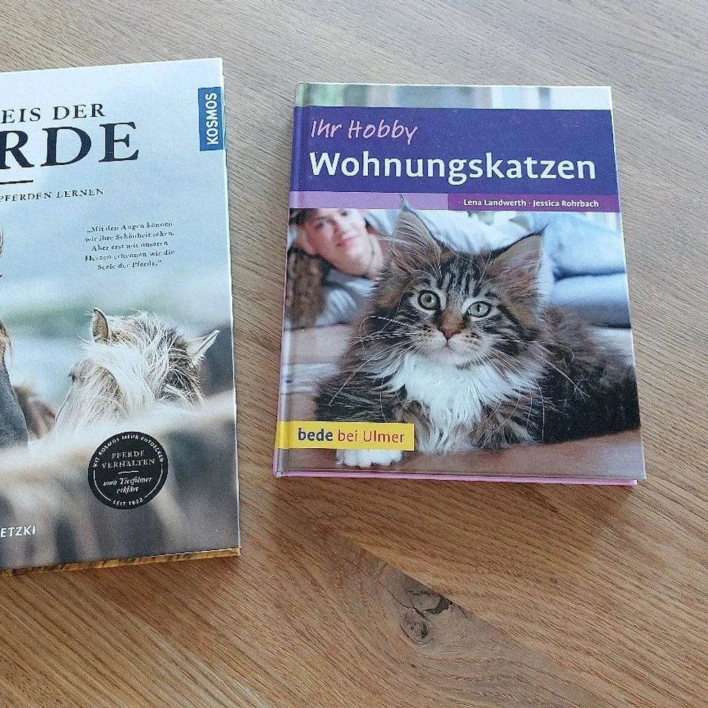 Zwei Bücher Katzen und Pferde wie Neu