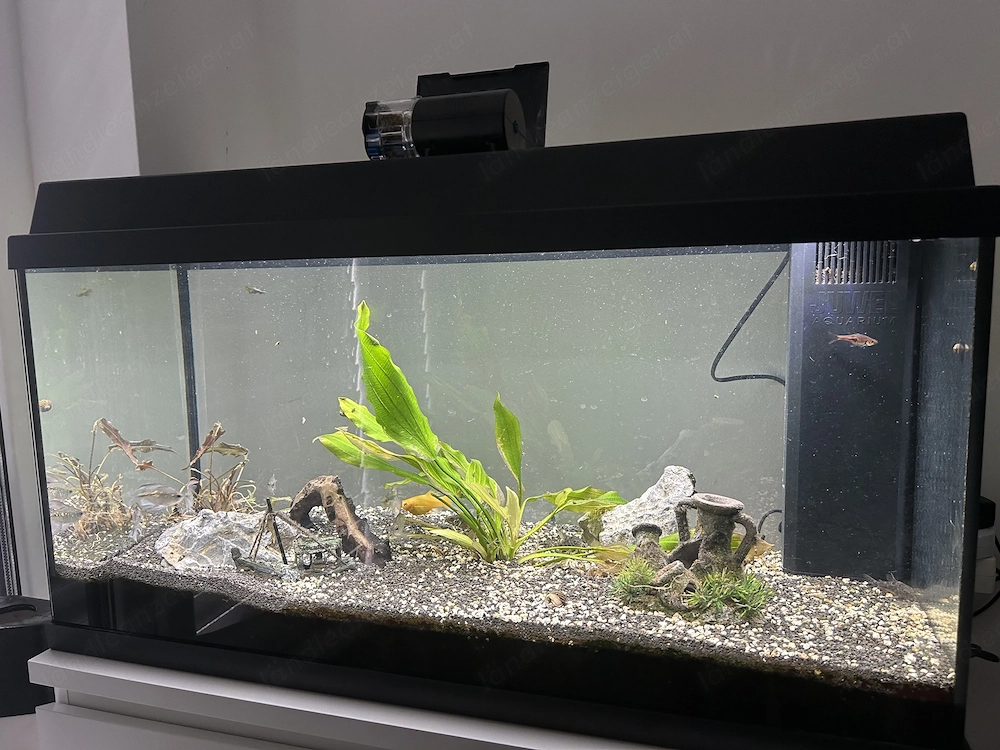 Aquarium 95 Liter