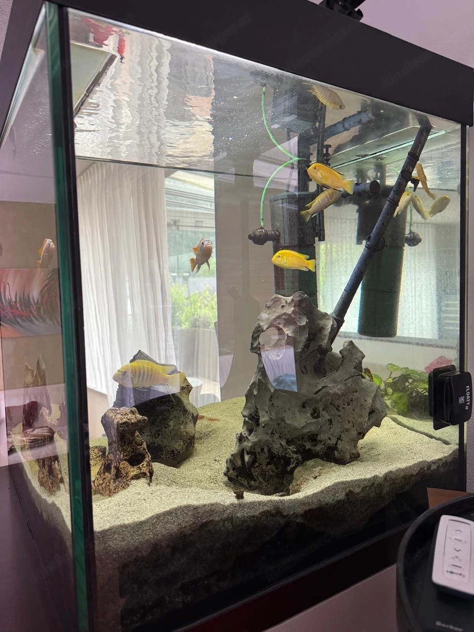 Aquarium 340 Liter