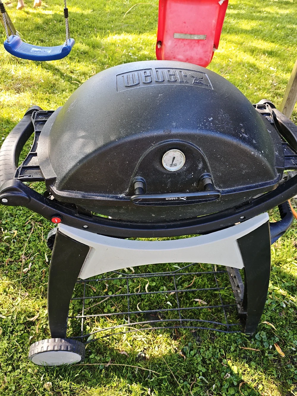Weber Gasgrill