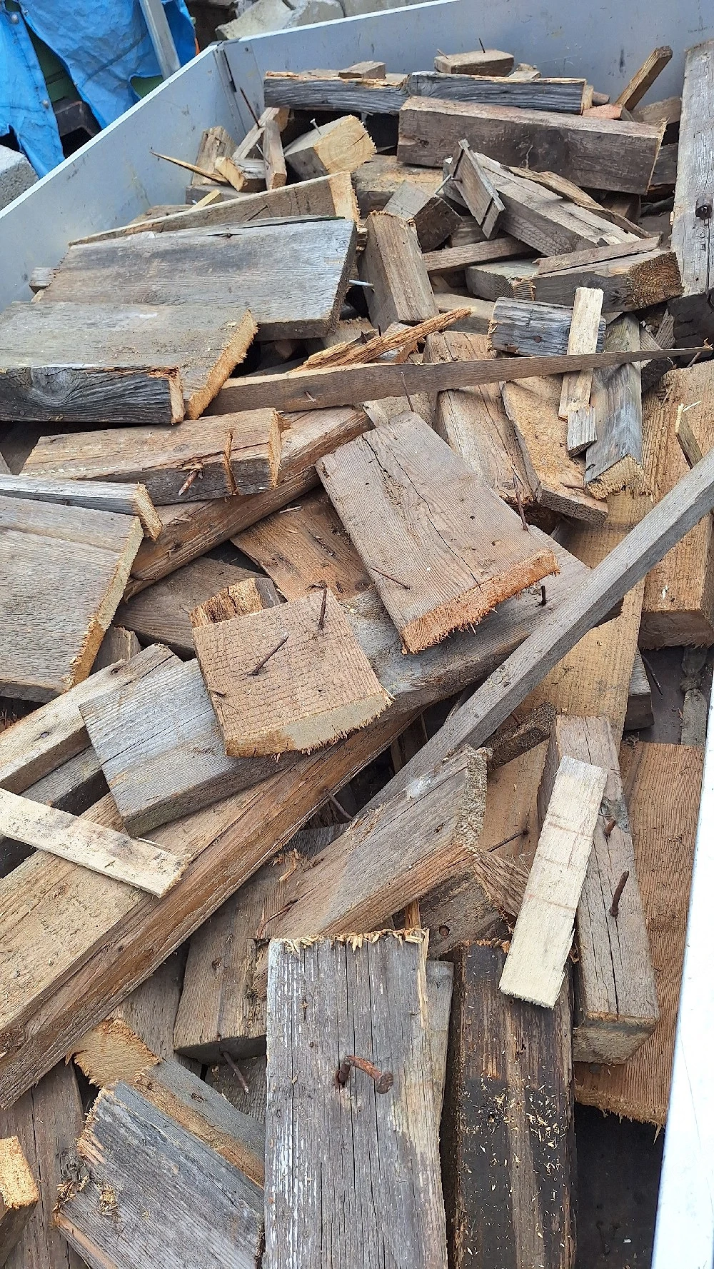 Brennholz Feuerschalen- Grillholz