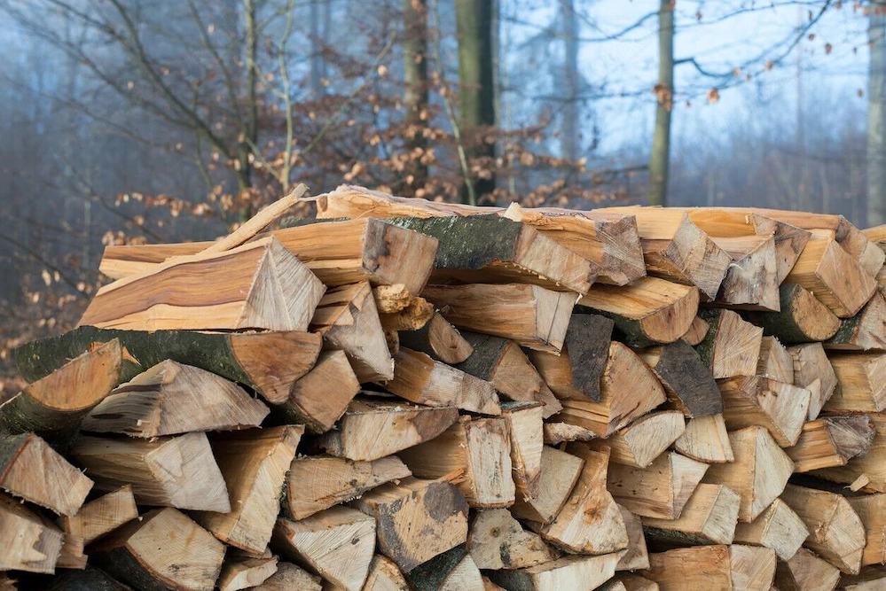 Artikel: Brennholz 33 cm Stuecken Feuerholz Kaminholz Reine Buche 30 Kg ofenfertig gespalten Hochwer