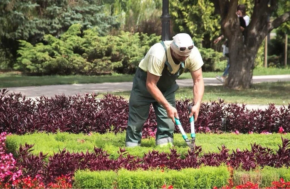Gartenhilfe   Gartenservice 