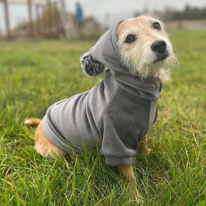 Artikel: Handmade SWEATSHIRT dog jacket dog hoodie WELUR clothing COLOR CHOICE Hochwertiger Artikel 