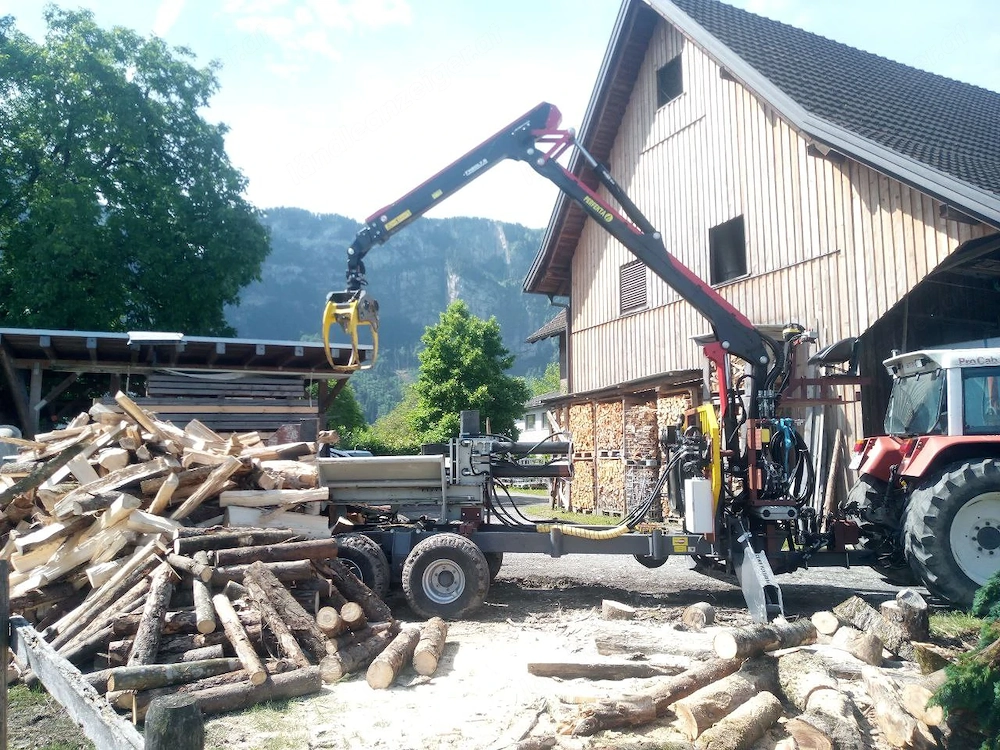 Brennholz spalten   Forstarbeiten