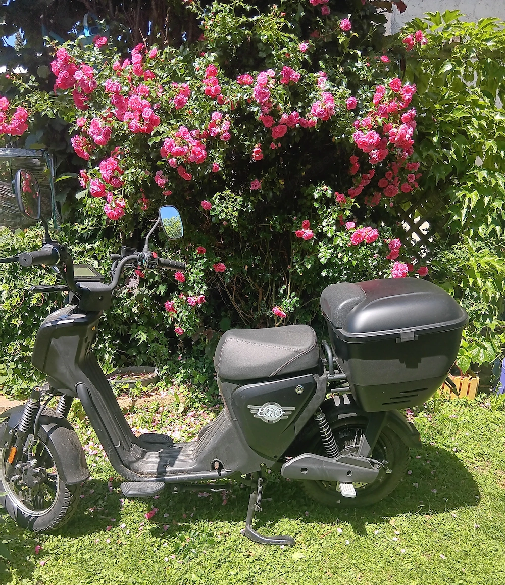 E-Roller EB 250 Erstbesitz wie neu